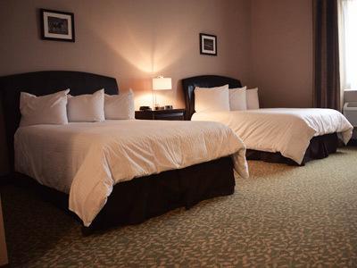 Belvedere Inn Schenectady - Albany Δωμάτιο φωτογραφία