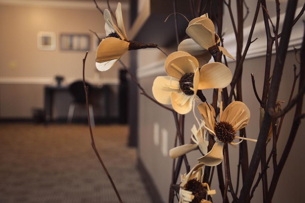Belvedere Inn Schenectady - Albany Δωμάτιο φωτογραφία