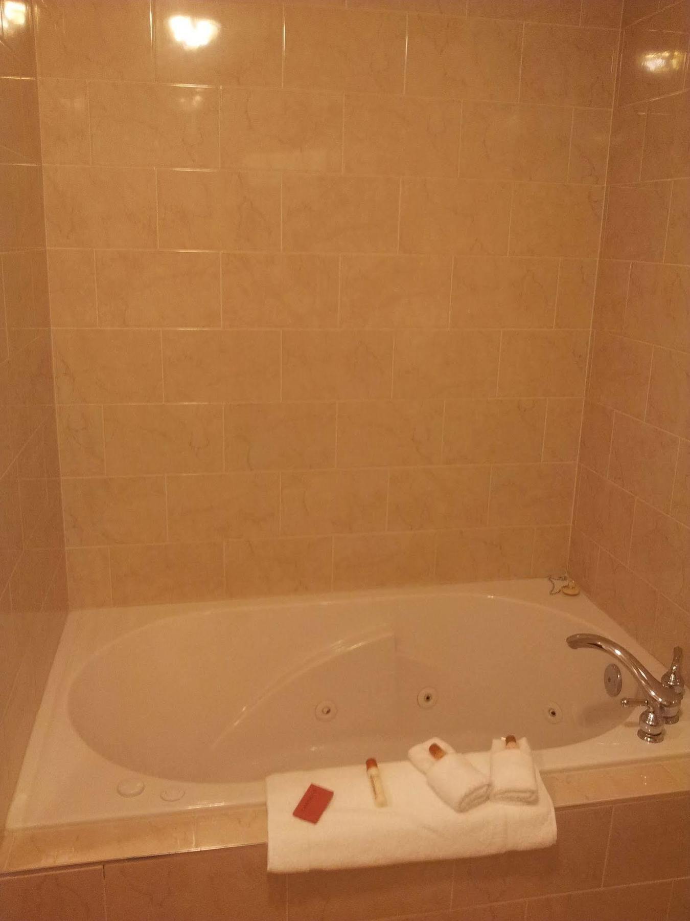 Belvedere Inn Schenectady - Albany Εξωτερικό φωτογραφία